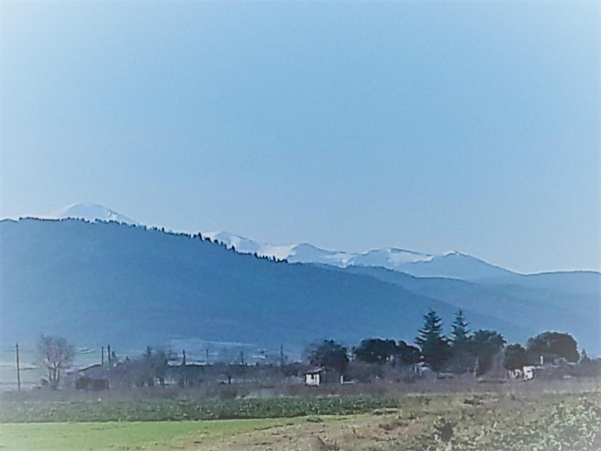 Parador De סנטו דומינגו דה לה קלסאדה מראה חיצוני תמונה